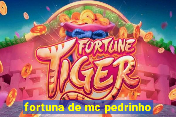 fortuna de mc pedrinho